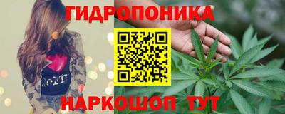 jwh Краснодар