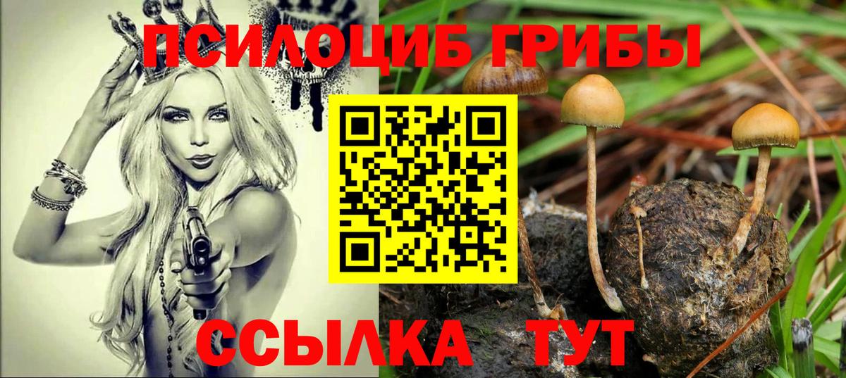 Заводоуковск  Псилоцибиновые грибы прущие грибы  цены наркотик  Вход с VPN 